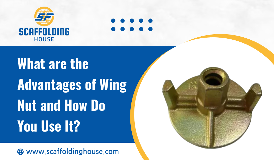 What are the Advantages of Wing Nut and How Do You Use It